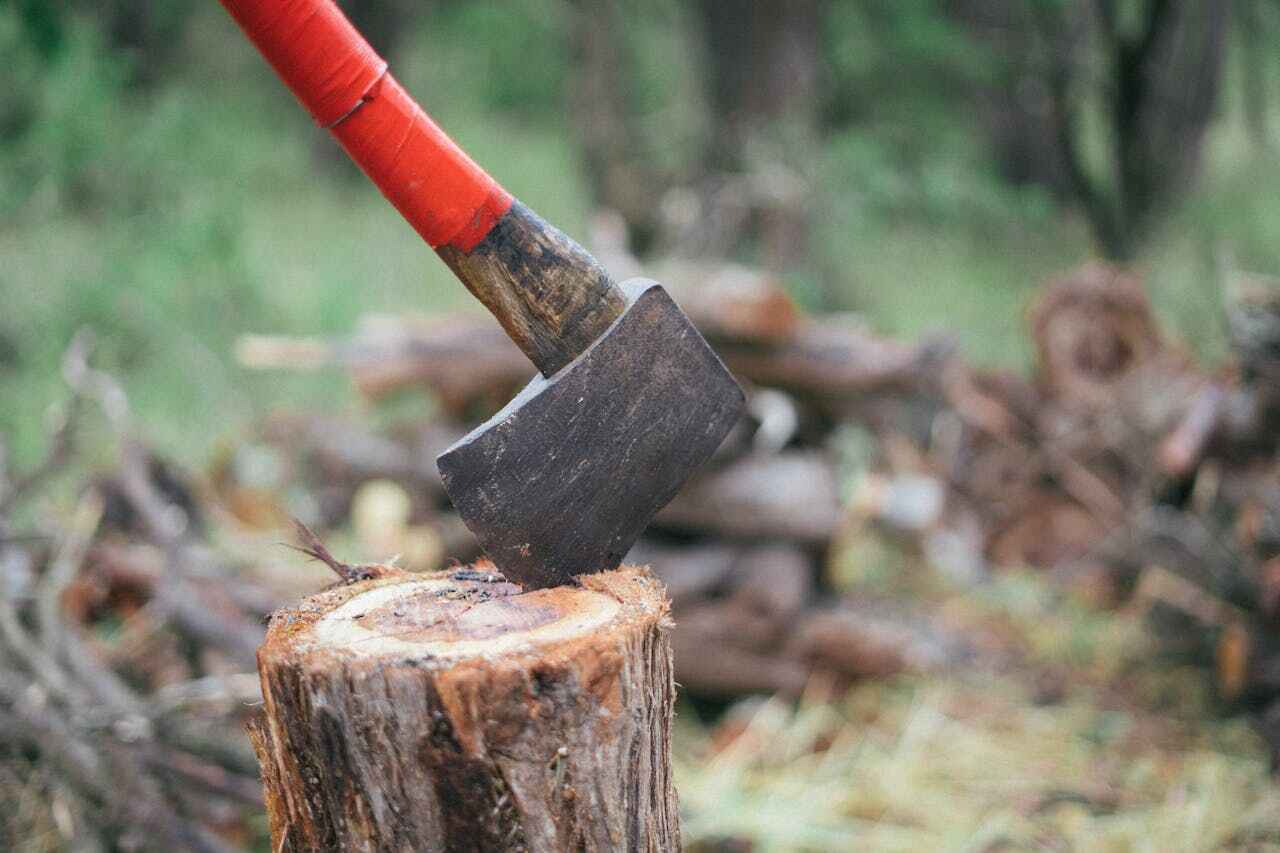 Best Tree Cutting Near Me  in Apalachicola, FL